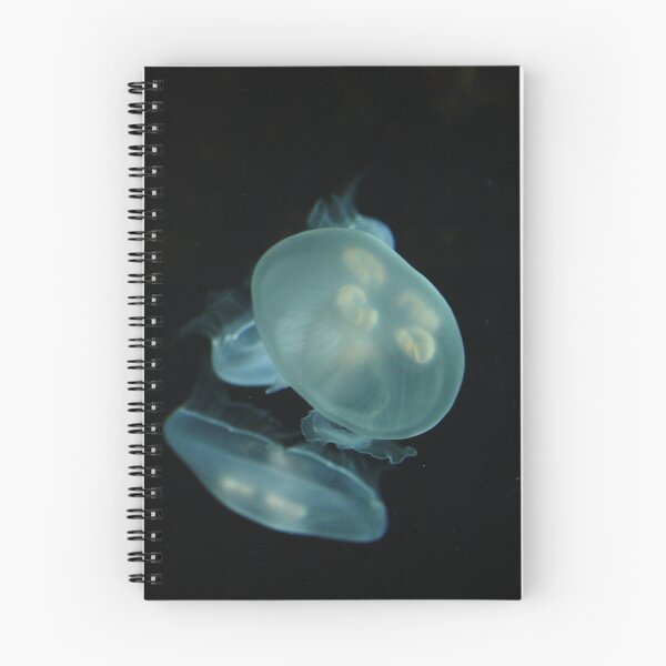 Artikelvorschau, Moon Jellyfish entworfen und verkauft von Alyce Taylor.