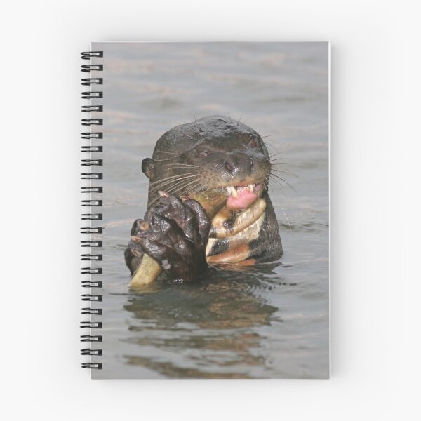 Item preview, Otter munchies designed and sold by Anthony Brewer.