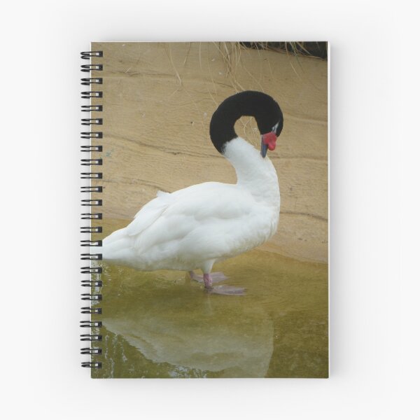 Item preview, Swan  designed and sold by Lyn Fabian.