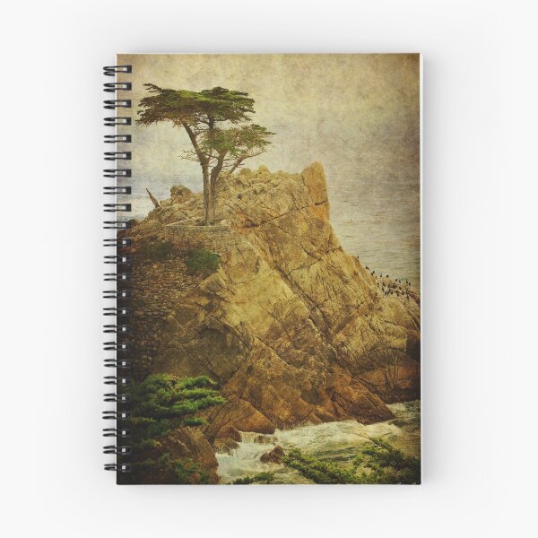Item preview, Lone Cypress designed and sold by Laura Palazzolo.