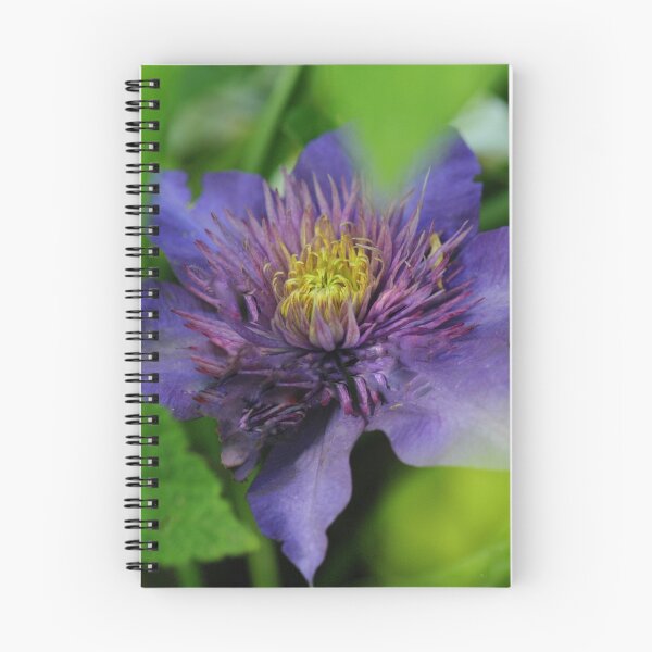 Item preview, Purple Columbine  designed and sold by Maria Kumlander.