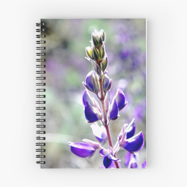 Item preview, Lupine-Merced River, Ca designed and sold by Alan Brazzel.