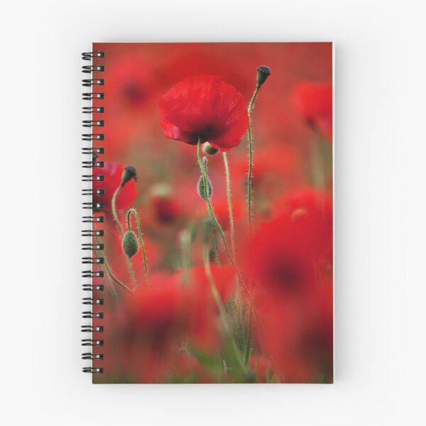 Item preview, Poppies designed and sold by Katariina Jarvinen.
