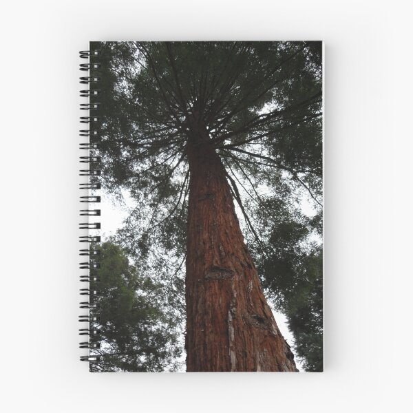 Item preview, Tree designed and sold by Medusa.