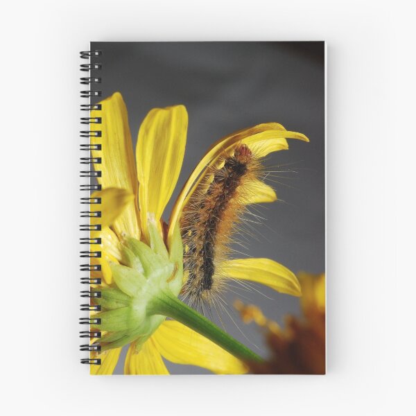 Item preview, No place to hide............ designed and sold by Macky.
