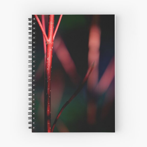Item preview, Cornus designed and sold by Ian Sanders.