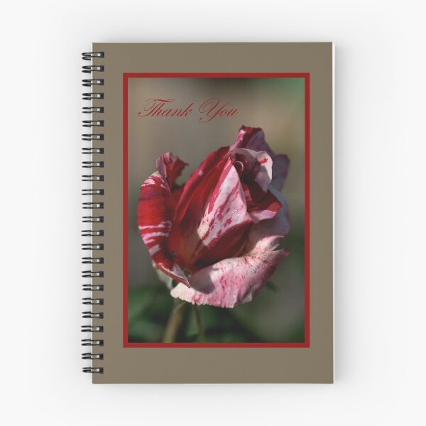 Artikelvorschau, Thank You Card Pink and Light Pink Rose entworfen und verkauft von Joy Watson - Natural Light Photography .