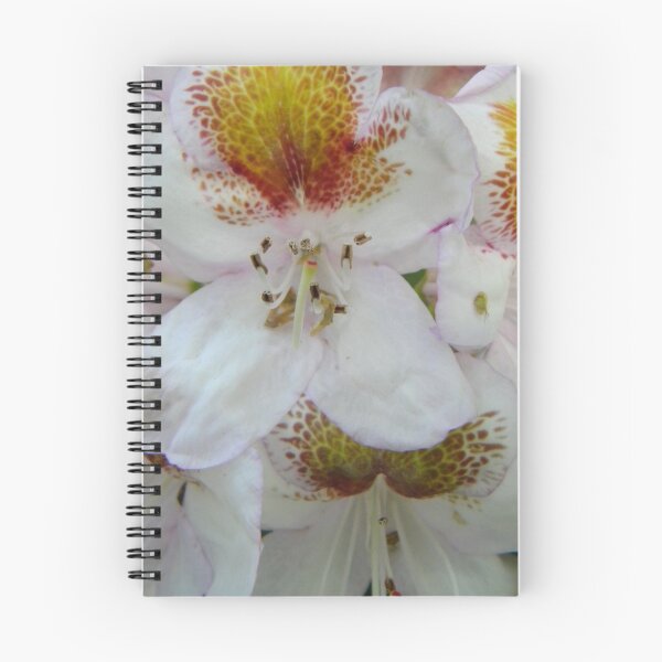 Item preview, Ravishing Rhododendron designed and sold by Jaclyn Hughes.