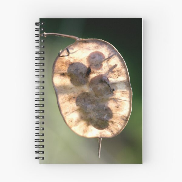 Item preview, Honesty Seeds designed and sold by John Keates.