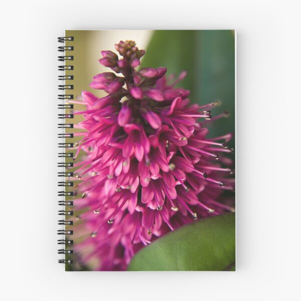 Item preview, Purple Hebe Flower designed and sold by Lauren Haasnoot.