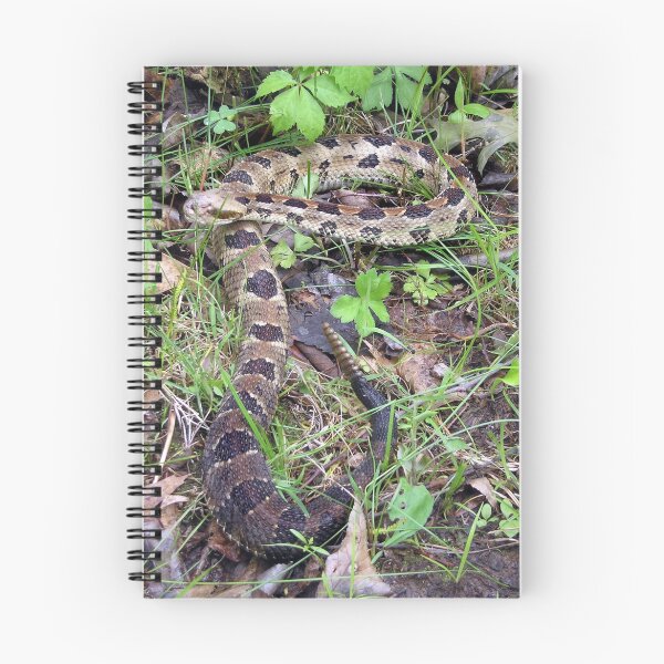 Item preview, Ready To....Shed designed and sold by Carla Wick/Jandelle Petters.