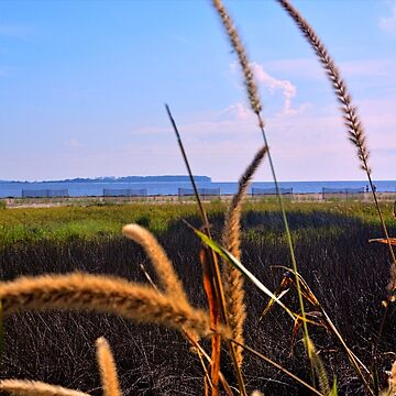 Artwork thumbnail, Sea Grass At The Marsh by LisaWootenPhoto