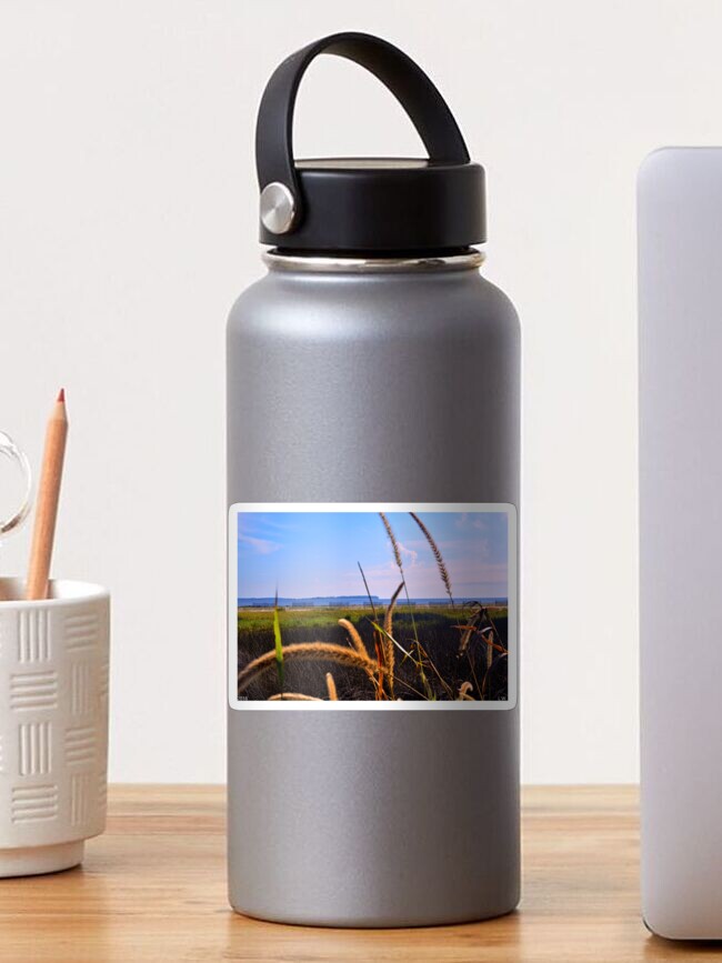 Thumbnail 1 of 3, Sticker, Sea Grass At The Marsh designed and sold by LisaWootenPhoto.