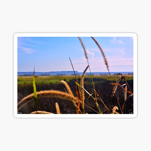 Item preview, Sea Grass At The Marsh designed and sold by LisaWootenPhoto.