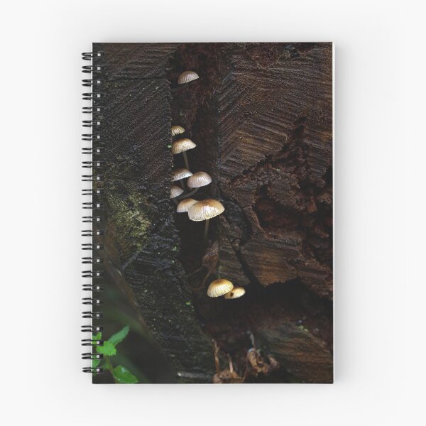 Item preview, Small Fungi sheltering in a tree stump designed and sold by Bev Pascoe.