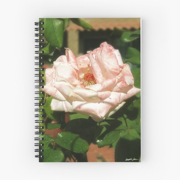 Item preview, An Old Mottled White and Pink Rose designed and sold by TravelPhotoArt.