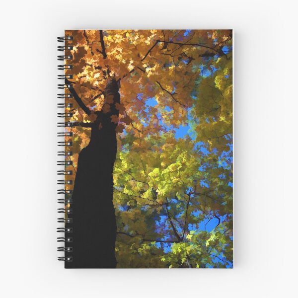 Item preview, Skyward designed and sold by Lyle Hatch.