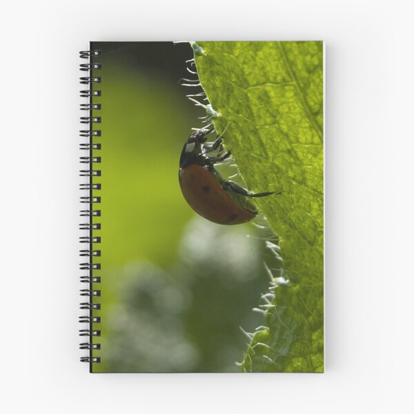 Item preview, LadyBug designed and sold by Els Steutel.