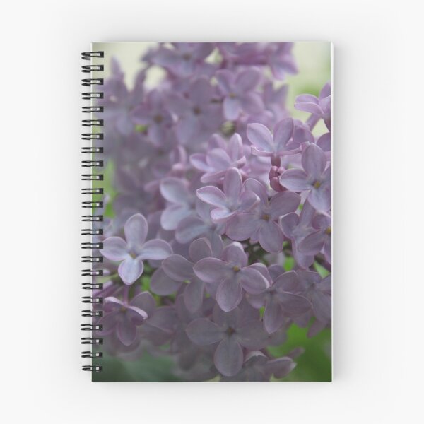 Item preview, Lilac designed and sold by Tanja Katharina Klesse.
