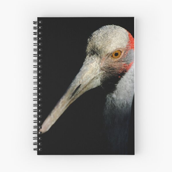 Item preview, Brolga designed and sold by Tamara  Kenneally.