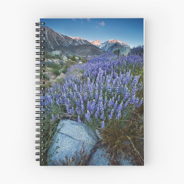 Item preview, Eastern Sierra Lupine Sunrise designed and sold by Nolan Nitschke.