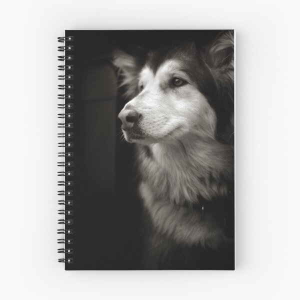 Artikelvorschau, Schöner Husky entworfen und verkauft von Kaeldra.