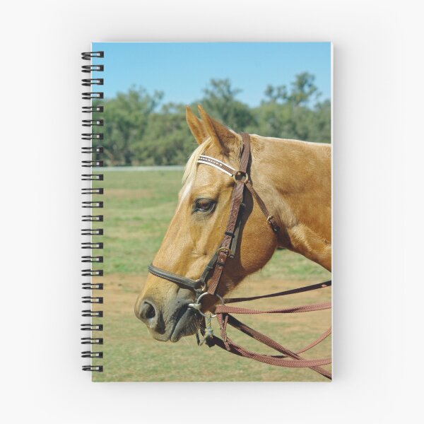 Item preview, PALOMINO PORTRAIT designed and sold by Helen Akerstrom Photography.