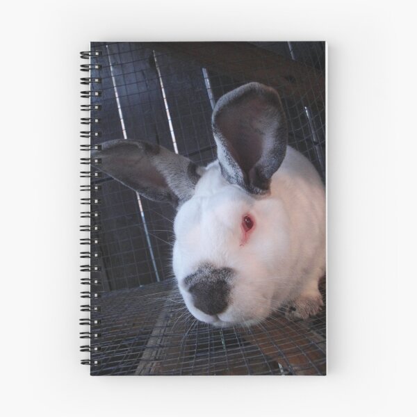 Item preview, One Special Bunny designed and sold by collinsrhp.