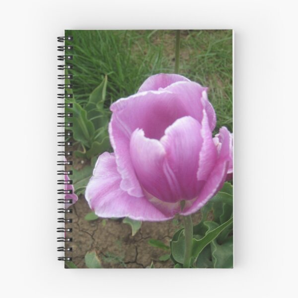 Item preview, pink tulip designed and sold by TÜLAY ÇAKIR.