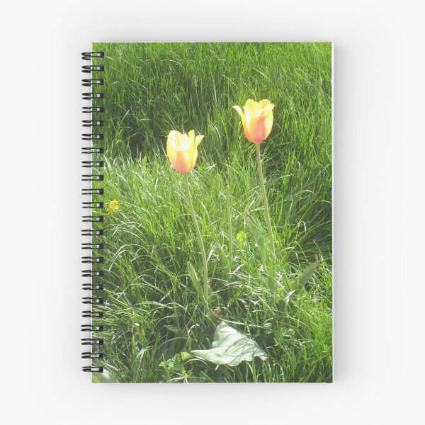 Item preview, two tulips designed and sold by TÜLAY ÇAKIR.