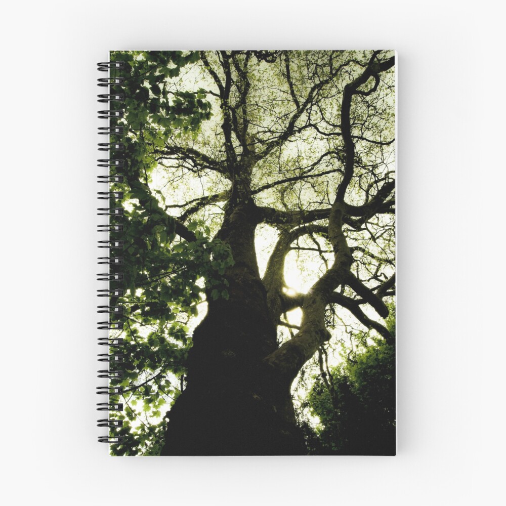 Item preview, Spiral Notebook designed and sold by Sortiel.