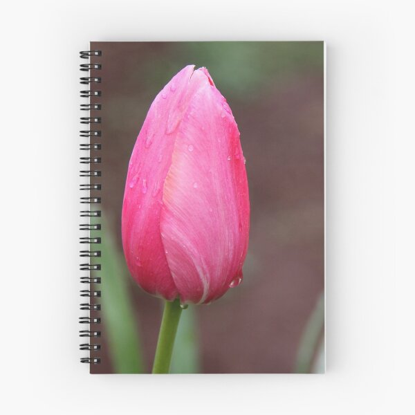Artikelvorschau, Tulip Drop entworfen und verkauft von Gabi Cumming.