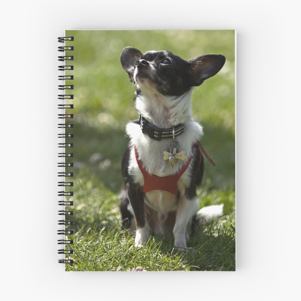 Item preview, Spiral Notebook designed and sold by RBelleque.