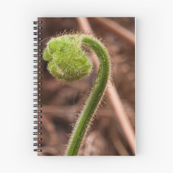 Item preview, Baby Fern frond designed and sold by Sonya Byrne.