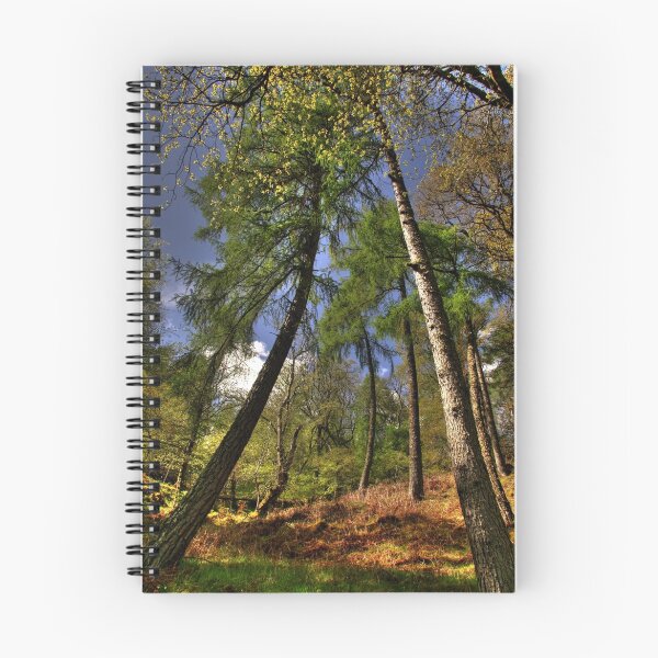 Item preview, Bendy Trees designed and sold by Drodbar.