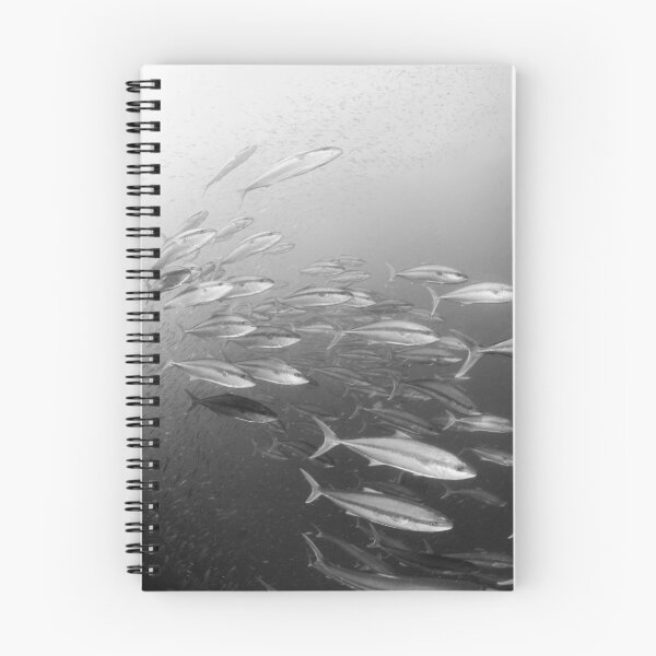 Item preview, The hunting pack - kingfish on the wreck of the HMAS Brisbane off Mooloolaba designed and sold by Stephen Colquitt.