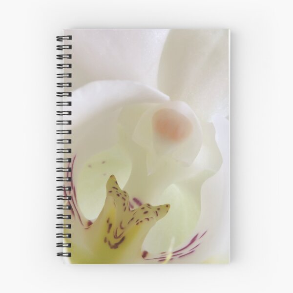 Item preview, Moth Orchid, Phalaenopsis designed and sold by Elizabeth L Taylor.