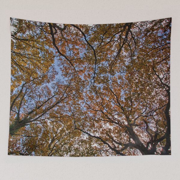Item preview, Autumn Canopy designed and sold by Dave Godden.