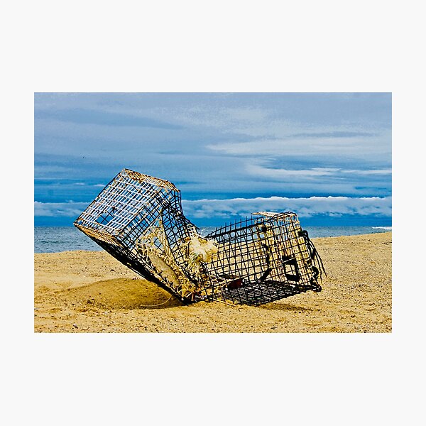 Found On The Beach Photographic Print