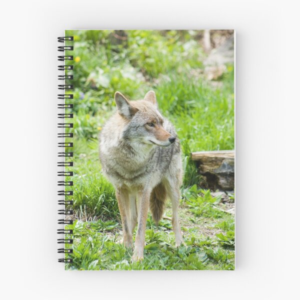 Item preview, Coyote 3 designed and sold by Sean McConnery.