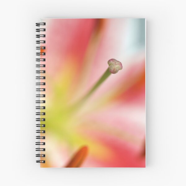 Item preview, Lilium Stargazer I designed and sold by the-novice.