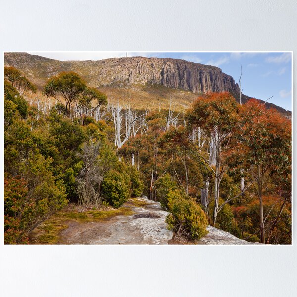 Item preview, Mount Wellington from Sphinx Rock designed and sold by Chris Cobern.