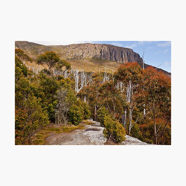 Item preview, Mount Wellington from Sphinx Rock designed and sold by Chris Cobern.
