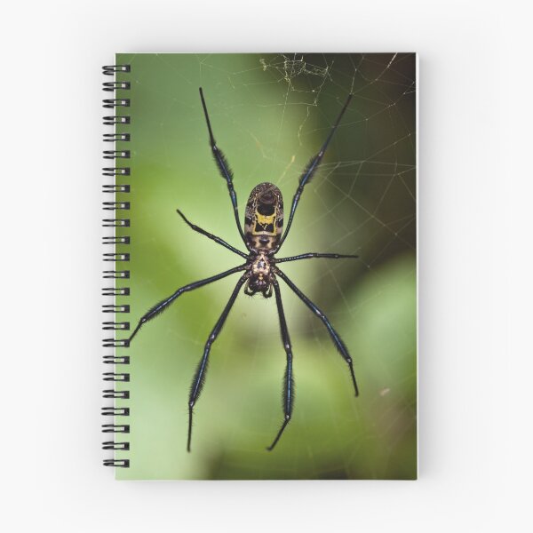Item preview, Black-legged Golden Orb-web Spider designed and sold by Macky.