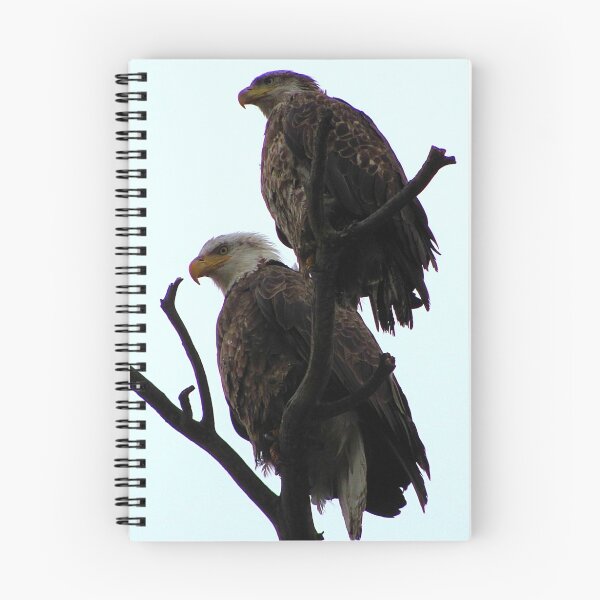 Item preview, Two Together designed and sold by Jan Landers.