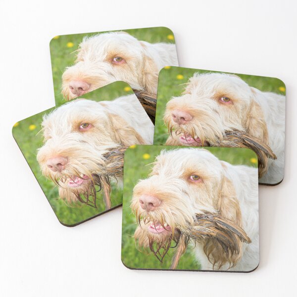 Artikelvorschau, Fasanenfedern Spinone entworfen und verkauft von FOLK ART FUSION.