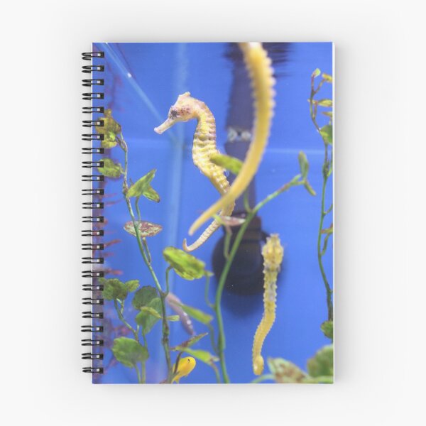 Item preview, Seahorses designed and sold by AlexKokas.