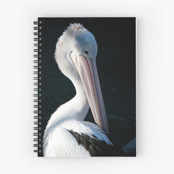 Item preview, Pelican designed and sold by Kathy Silcock.