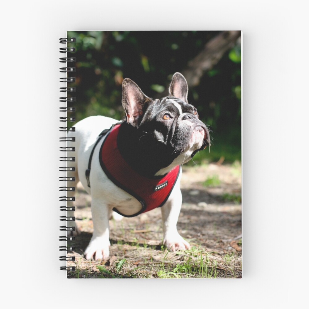 Item preview, Spiral Notebook designed and sold by RebeccaKate.