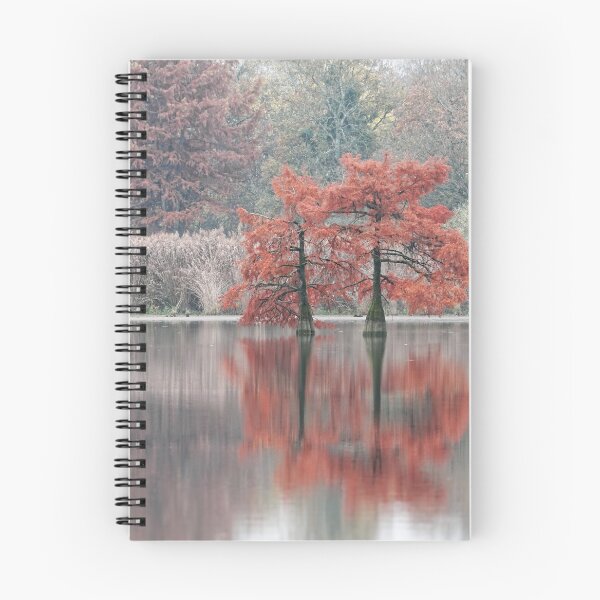 Item preview, Bald cypress designed and sold by KERES Jasminka.